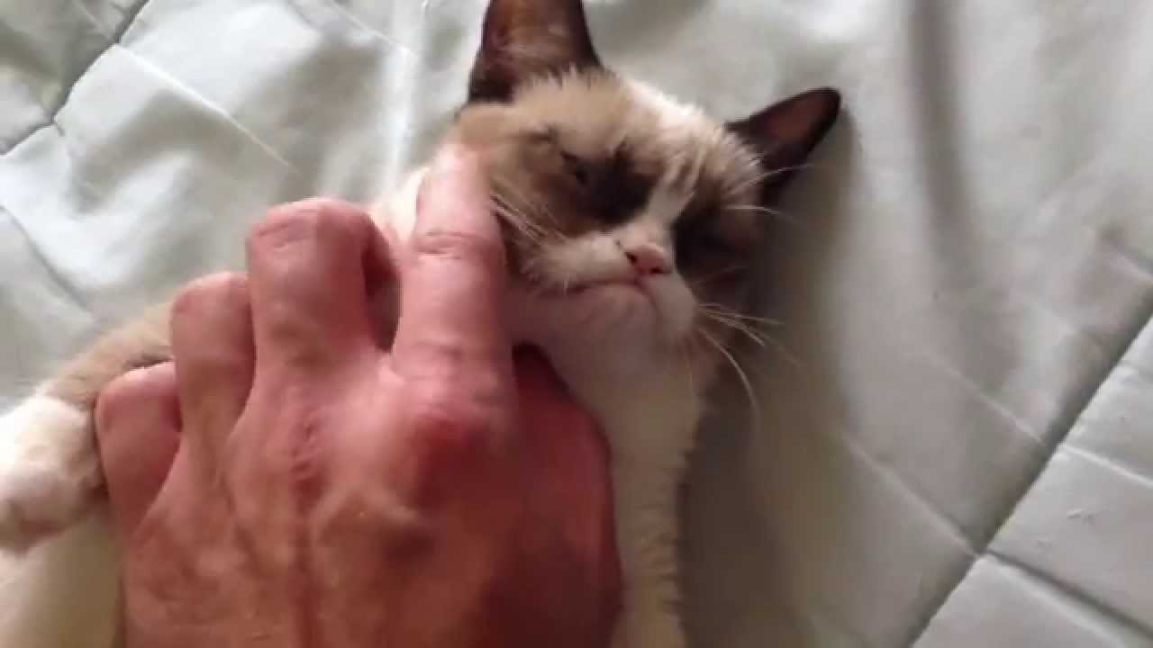 tumnagel för video