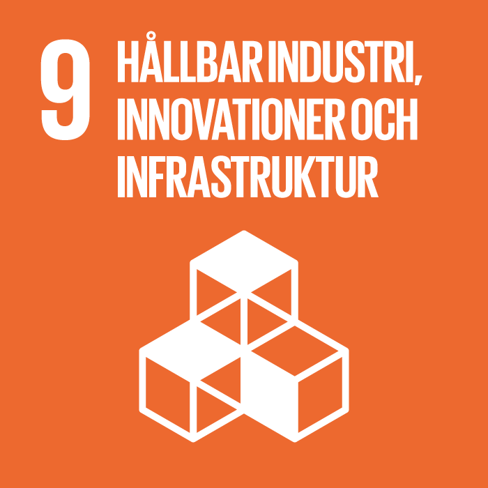 FN:s globala m&aring;l 9: H&aring;llbar industri, innovationer och infrastruktur