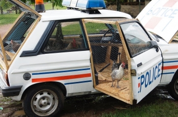 8 Hasil Modifikasi Mobil yang Menggelitik, Inspirasinya dari Mana, ya?