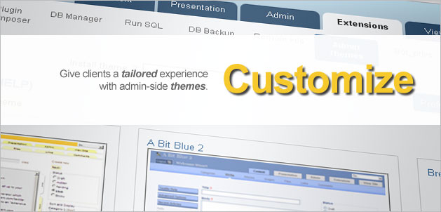 Customize: Give clients a tailored experience with admin-side themes